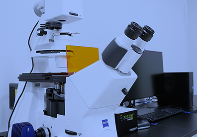 基因编辑与检测分析